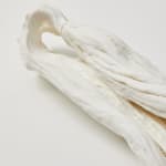 Savia Mahajan, Emergency-old-longing 21, 2023