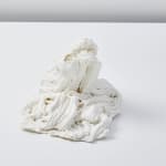 Savia Mahajan, Emergency-old-longing 16, 2023