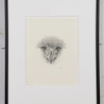 Fiona Waterstreet, Untitled