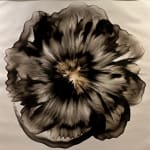 Dennis Lee Mitchell, Finite, 2012