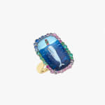 Francesca Villa, Pegasus ring