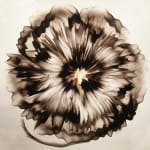 Dennis Lee Mitchell, Finite, 2012
