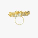 Kayo Saito, Blossom climber ring