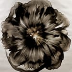 Dennis Lee Mitchell, Finite, 2012