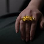 Kayo Saito, Blossom climber ring