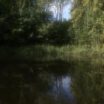 Jeffrey Blondes, 19-09D Bois de Mametz 17h52m54s, 2019