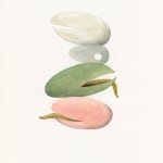 Astrid Köppe, Untitled (Z25_016), 2025