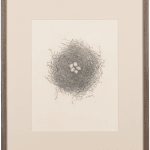 Fiona Waterstreet, Untitled