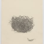 Fiona Waterstreet, Untitled