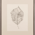 Fiona Waterstreet, Untitled