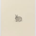 Fiona Waterstreet, Untitled