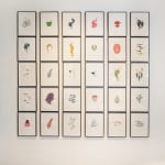 Astrid Köppe, Untitled (#173), 2020