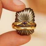 Francesca Villa, Pegasus ring