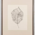 Fiona Waterstreet, Untitled