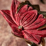 Silvia Furmanovich, Bag strap