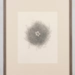 Fiona Waterstreet, Untitled