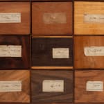 19th Century Jamaican Specimen Wood Box by Ralph Turnbull