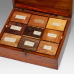 19th Century Jamaican Specimen Wood Box by Ralph Turnbull