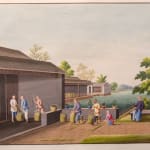 Coulborn antique gouache A Set of 12 Chinese Trade Pictures – depicting the growing, harvesting and processing of tea