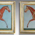 Pair of Anatomical Studies of a Horse