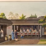 Coulborn antique gouache A Set of 12 Chinese Trade Pictures – depicting the growing, harvesting and processing of tea