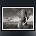 James Lewin, Elephant Train. Amboseli, Kenya