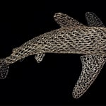 Vincent Mock, Radiolaria