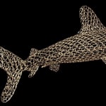 Vincent Mock, Radiolaria