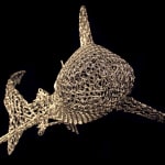 Vincent Mock, Radiolaria