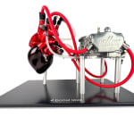 Thumbnail of additional image