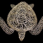 Vincent Mock, Radiolaria