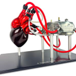 Thumbnail of additional image