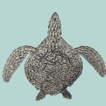 Vincent Mock, Radiolaria