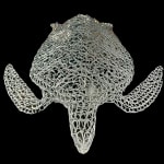 Vincent Mock, Radiolaria