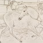 James Howe, Horse tethered in a stable