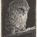 Takeshi Yasuda, Sancai sprung bottom bowl, c.1990