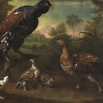 Charles Collins, Capercaillie and Chicks, Woodpecker and Ptarmigan, 1730