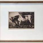Charles Frederick Tunnicliffe RA, The Thief, 1928