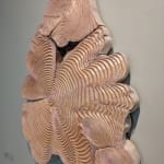 Tim Pomeroy, A Dialogue of Rings, 2021