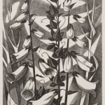 William Wilson RSA RSW, Edinburgh Sunshine