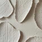 Sophie De Zutter, Clarté, 2023