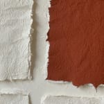 Sophie De Zutter, Clarté, 2023