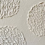 Sophie De Zutter, Clarté, 2023