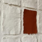 Sophie De Zutter, Clarté, 2023