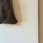 Sophie De Zutter, Clarté, 2023