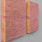 Carmen Baena, Jardín vertical, X, 2022