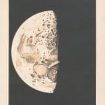 Justus Perthes, Bubonic Plague Outbreaks from 1346 to 1879, 1879