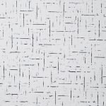 Choi Myoung Young, Conditional Planes 816, 1981