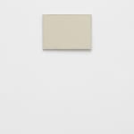 Choi Myoung Young, Conditional Planes 81-20, 1981