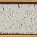 Choi Myoung Young, Conditional Planes 08-13, 2008